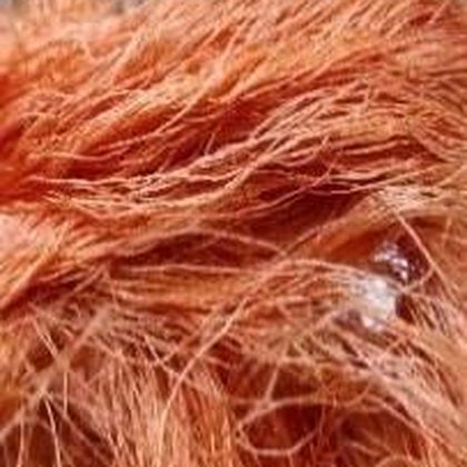 Silk yarn dyed with natural dye