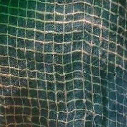 Linen fabric dyed with natural dye